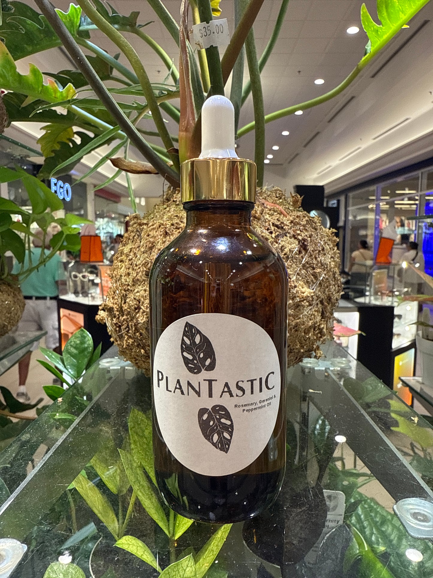 Rosemary, Geraniol & Peppermint Oil